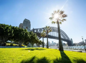 turf suppliers Sydney
